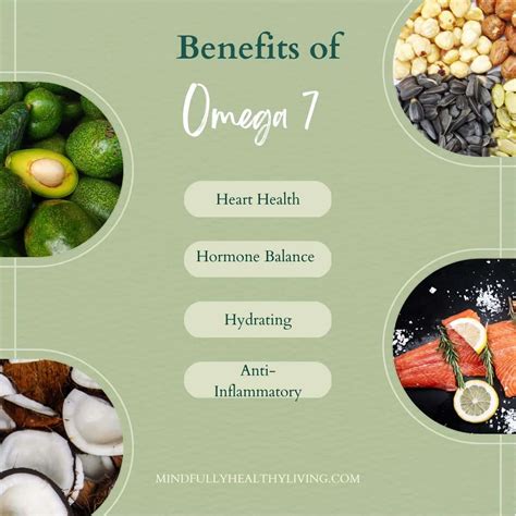 The Benefits of Omega 7 Fatty Acids .